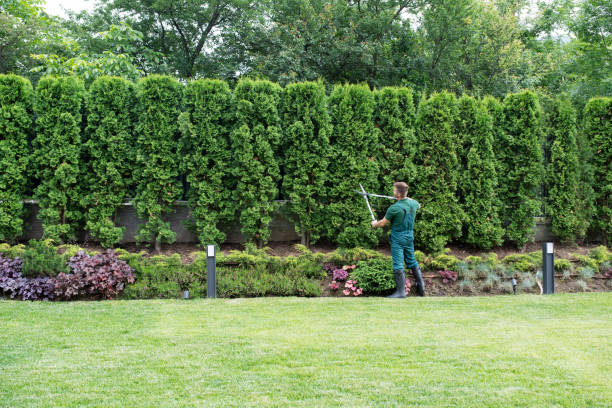 Residential Tree Removal in Oconto, WI